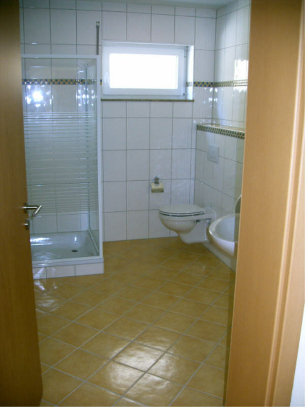 Bathroom on the basement